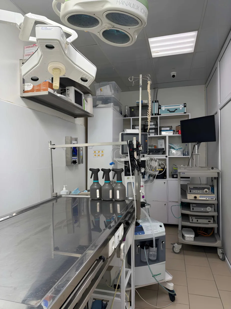 Олег Островський — ветеринарний ортопед у Львові