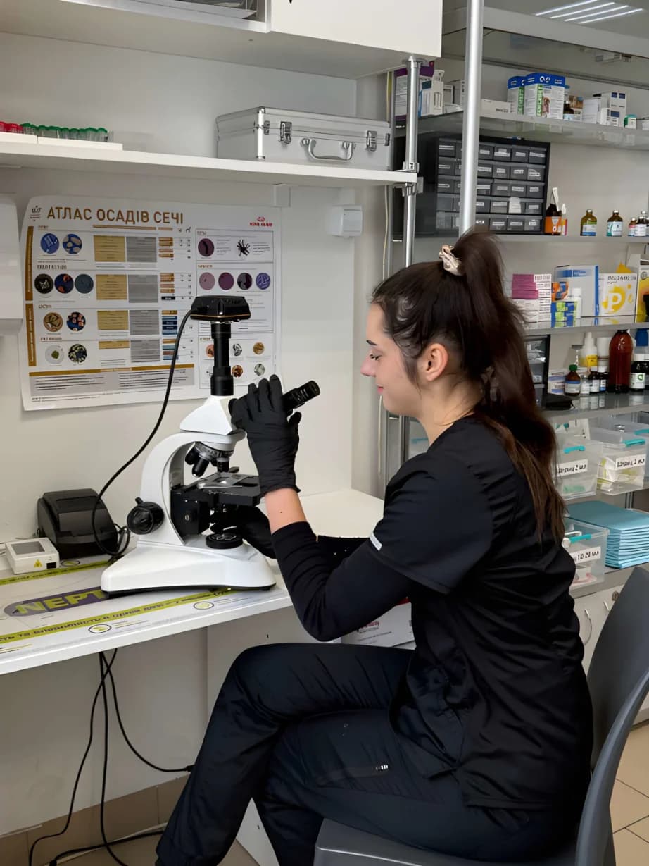 Ортопедична діагностика собак і котів у Львові