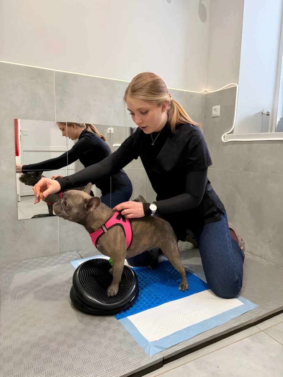 Лікування неврологічних захворювань у тварин