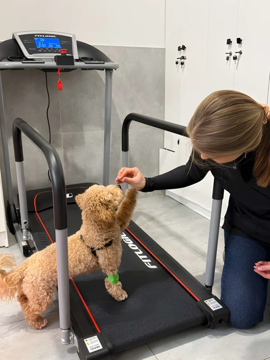 Ветеринарна клініка Imperium Vet - команда та пацієнти