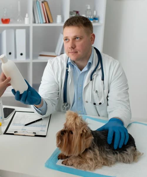 Первинний і повторний прийом